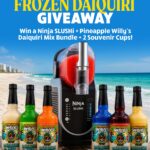 Pineapple Willy’s Is Giving Away a Ninja SLUSHi Machine — Sip in Style!