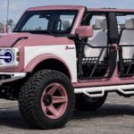 PetSmart Treats Rewards Sweepstakes: Win a 2026 Ford Bronco