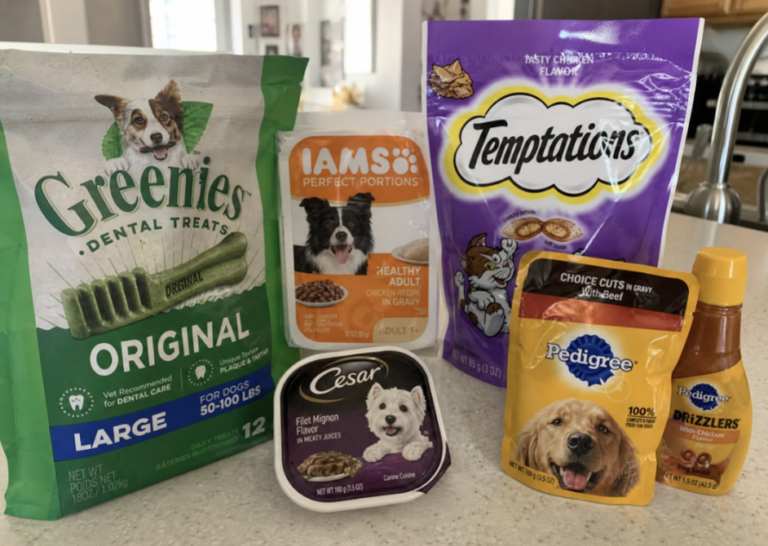 Snag These 5 Free Pet Food & Treat Samples Before They’re Gone!
