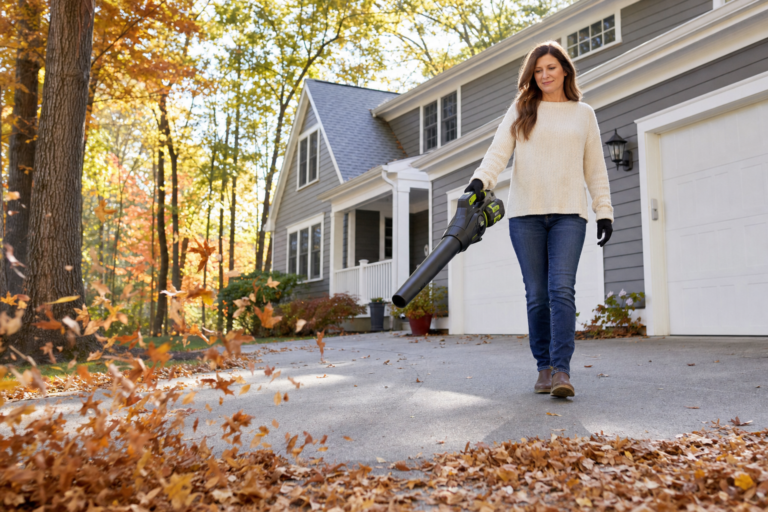 SnapFresh Giveaway: 10 Winners Get a Cordless Leaf Blower!