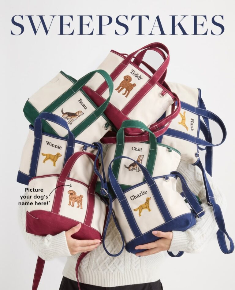 Personalized Pet Gifts: Names, Designs and Shopping Costs